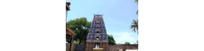 071. திருநெடுங்களம்
